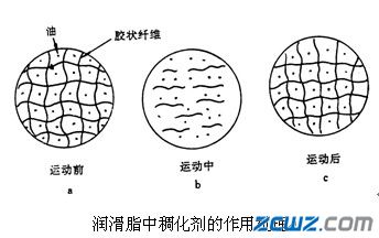 潤(rùn)滑脂的組成